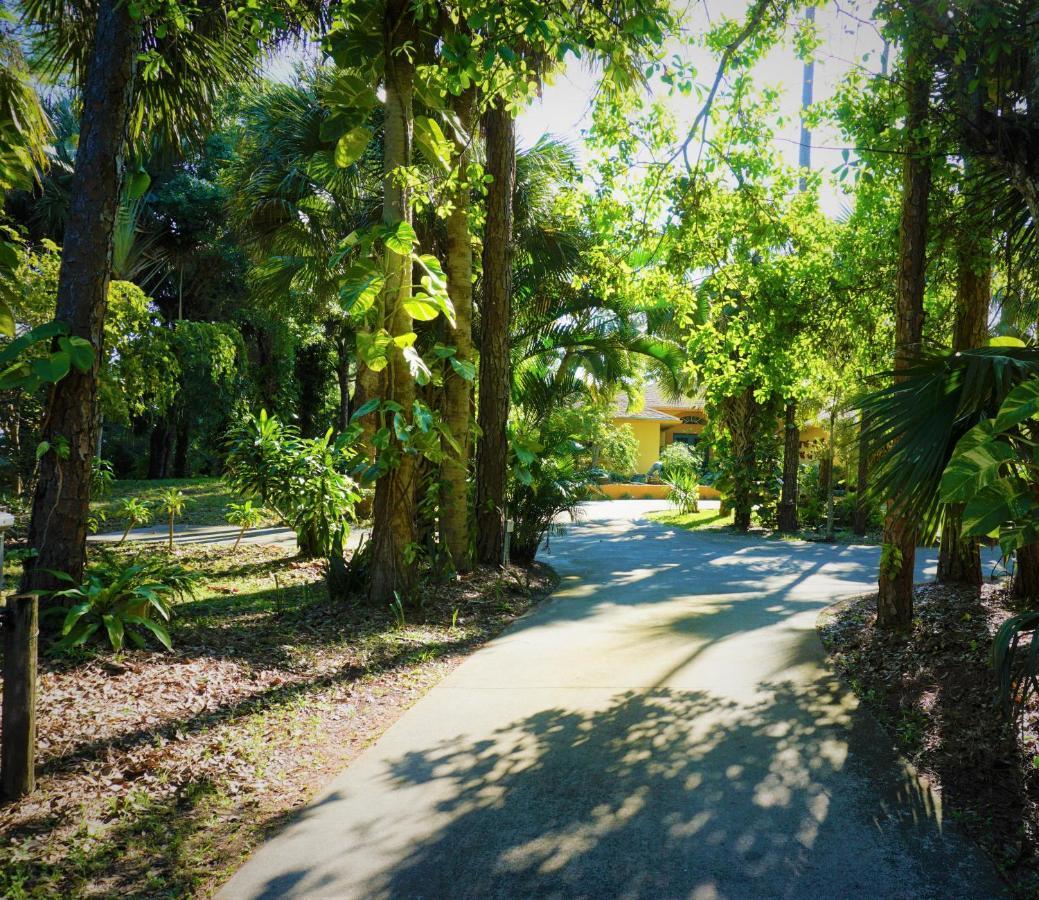 Jupiter Waterfalls - Newly Updated - Tiki Hut, Fire Pit, Kitchen, Pool Heater And More Exteriér fotografie